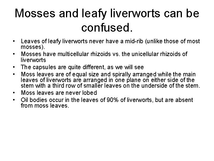 Mosses and leafy liverworts can be confused. • Leaves of leafy liverworts never have