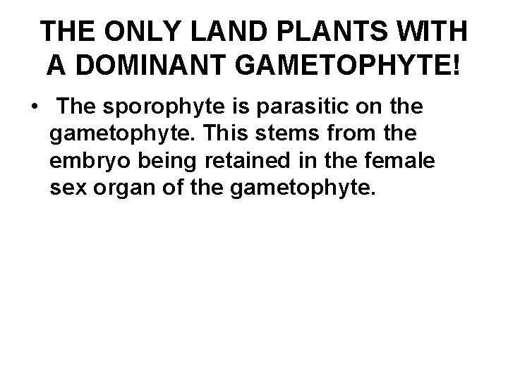 THE ONLY LAND PLANTS WITH A DOMINANT GAMETOPHYTE! • The sporophyte is parasitic on