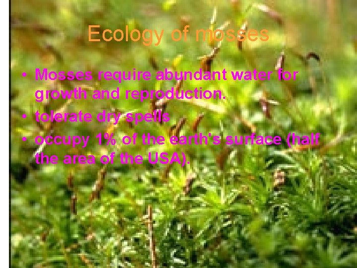 Ecology of mosses • Mosses require abundant water for growth and reproduction. • tolerate