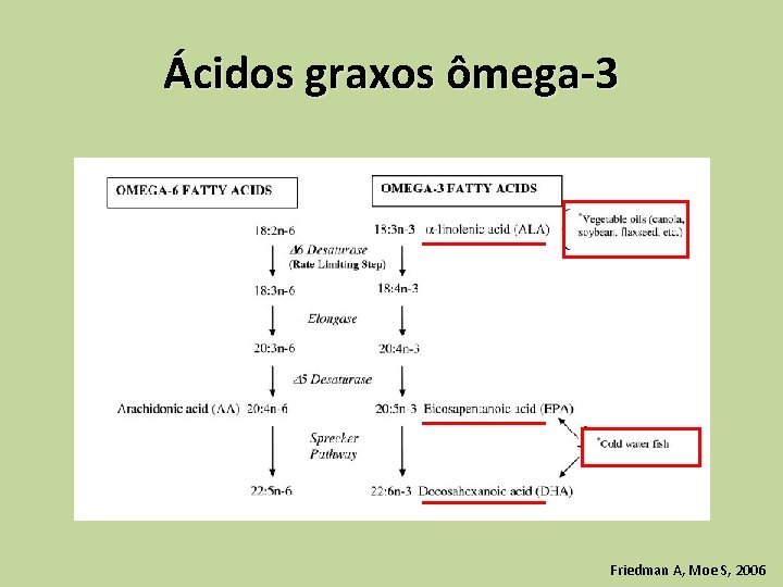 Ácidos graxos ômega-3 Friedman A, Moe S, 2006 
