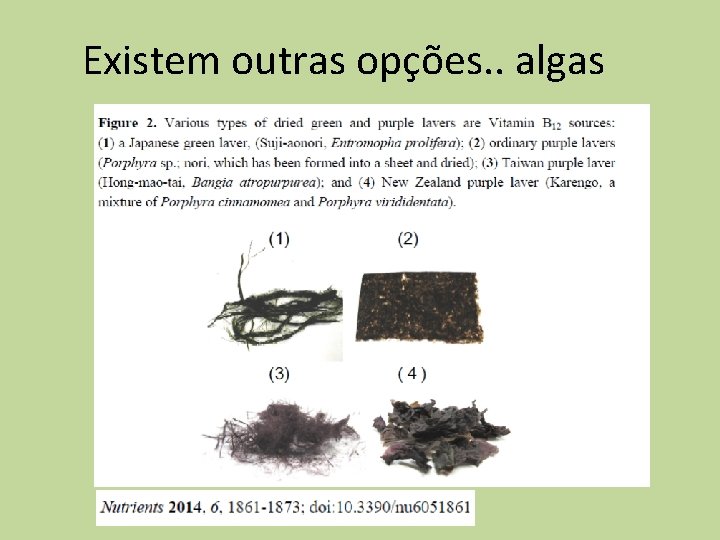 Existem outras opções. . algas 