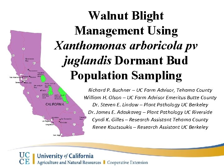 Walnut Blight Management Using Xanthomonas arboricola pv juglandis Dormant Bud Population Sampling Richard P.