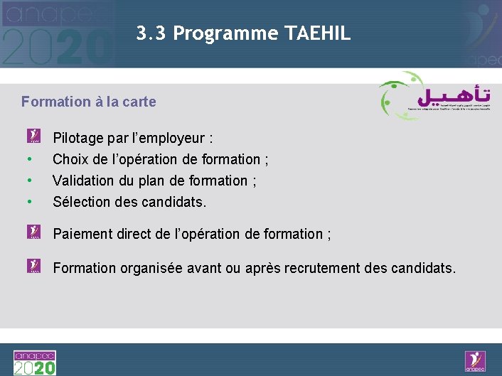3. 3 Programme TAEHIL Formation à la carte • • • Pilotage par l’employeur