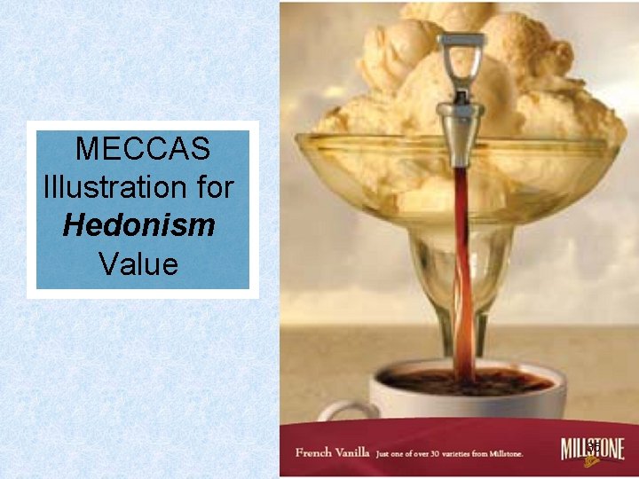 MECCAS Illustration for Hedonism Value 35 