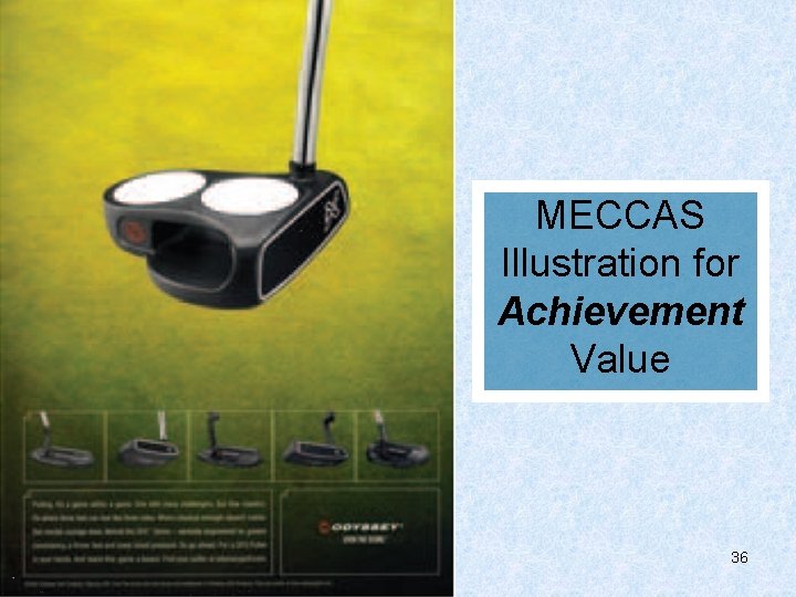 MECCAS Illustration for Achievement Value 36 