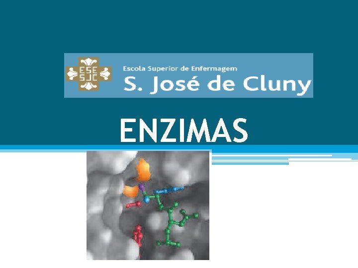 ENZIMAS 