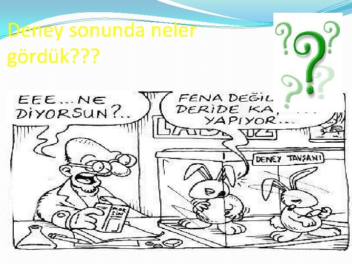 Deney sonunda neler gördük? ? ? 