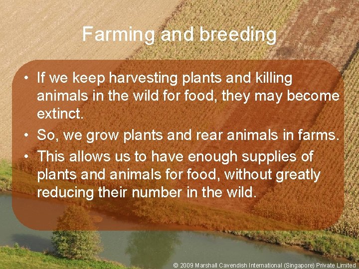 Farming and breeding • If we keep harvesting plants and killing animals in the