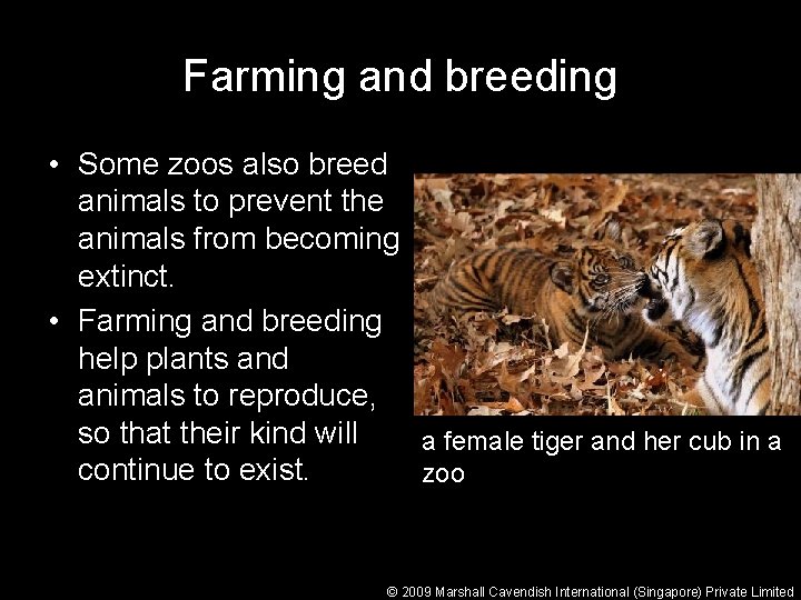 Farming and breeding • Some zoos also breed animals to prevent the animals from