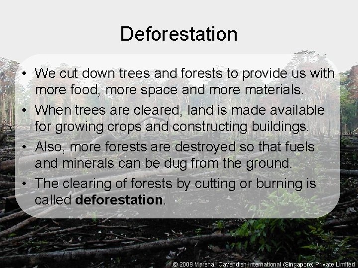 Deforestation • We cut down trees and forests to provide us with more food,