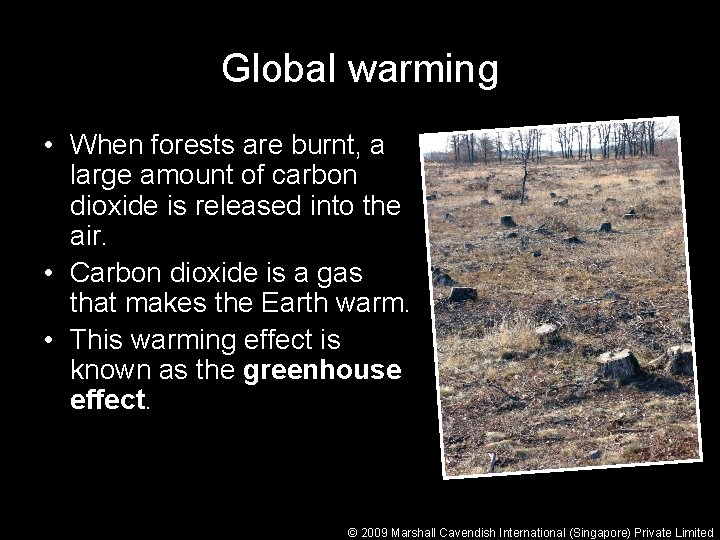Global warming • When forests are burnt, a large amount of carbon dioxide is
