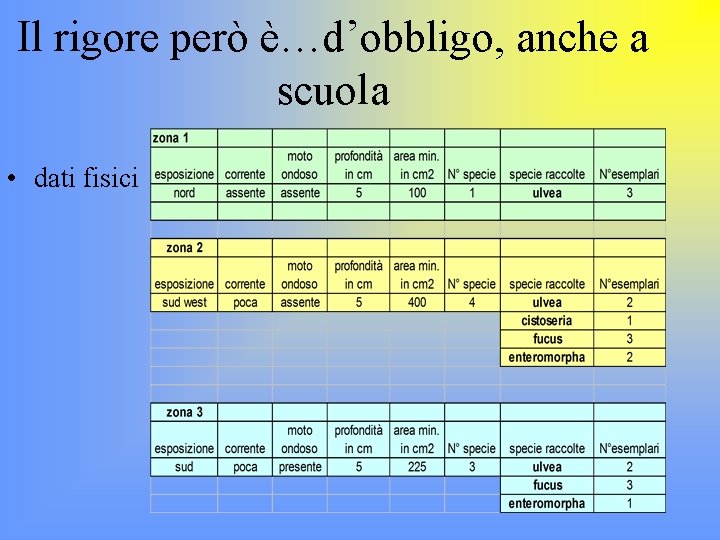 Il rigore però è…d’obbligo, anche a scuola • dati fisici 