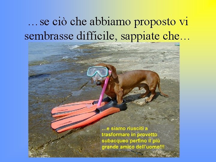 …se ciò che abbiamo proposto vi sembrasse difficile, sappiate che… 