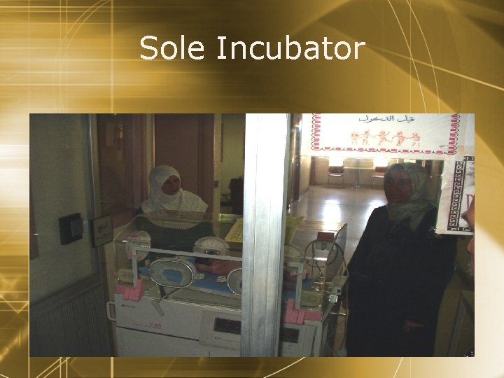 Sole Incubator 