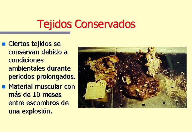 Tejidos Conservados n n Ciertos tejidos se conservan debido a condiciones ambientales durante periodos Tejidos Conservados n n Ciertos tejidos se conservan debido a condiciones ambientales durante periodos