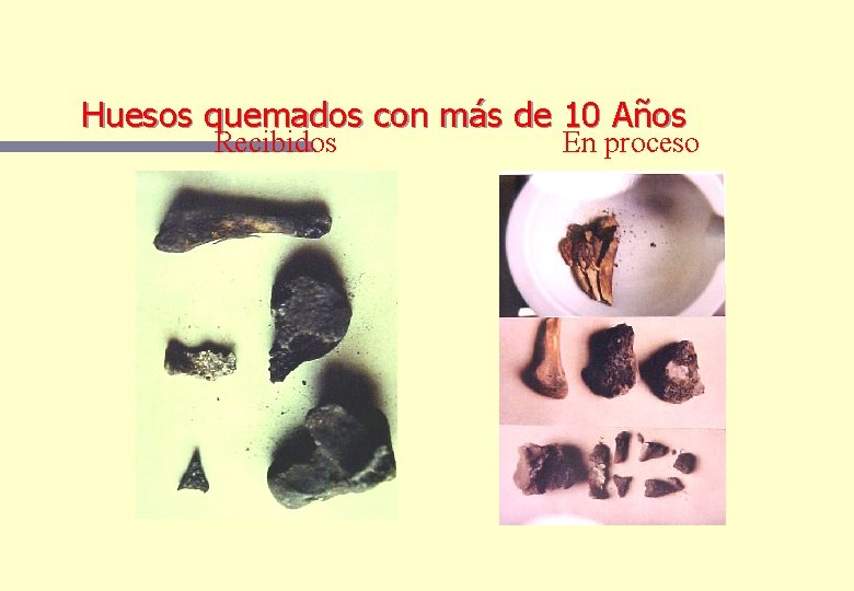 Huesos quemados con más de 10 Años Recibidos En proceso Huesos quemados con más de 10 Años Recibidos En proceso
