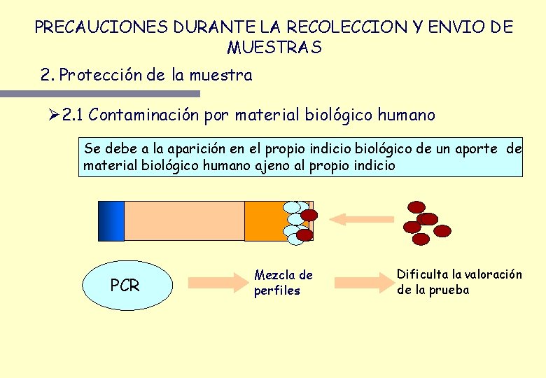 PRECAUCIONES DURANTE LA RECOLECCION Y ENVIO DE MUESTRAS 2. Protección de la muestra Ø PRECAUCIONES DURANTE LA RECOLECCION Y ENVIO DE MUESTRAS 2. Protección de la muestra Ø