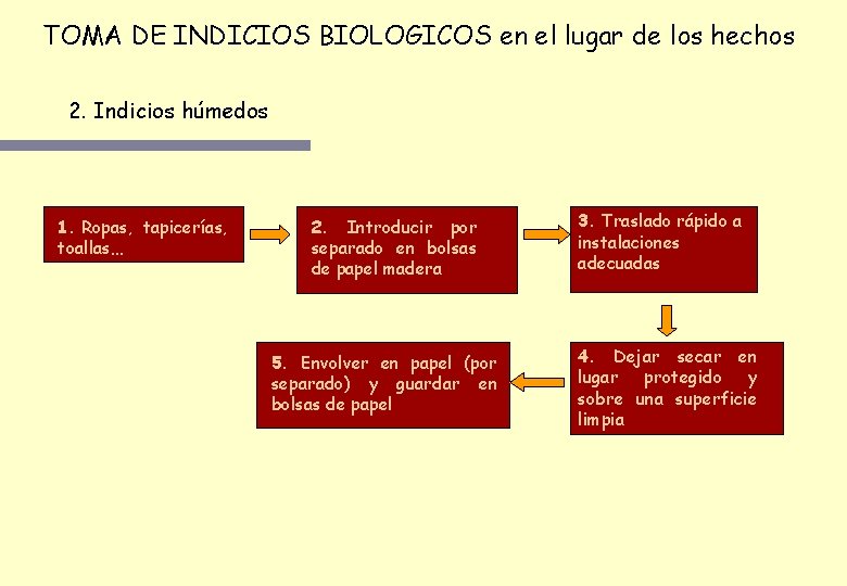 TOMA DE INDICIOS BIOLOGICOS en el lugar de los hechos 2. Indicios húmedos 1. TOMA DE INDICIOS BIOLOGICOS en el lugar de los hechos 2. Indicios húmedos 1.
