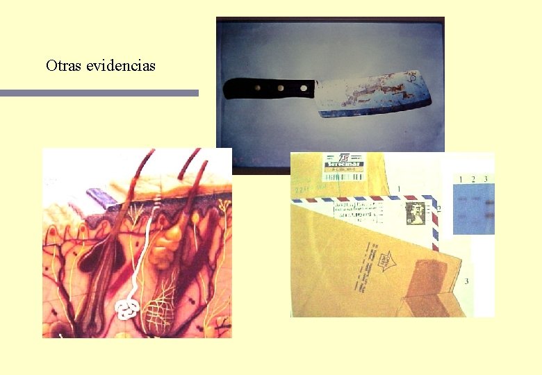 Otras evidencias Otras evidencias