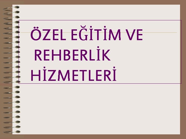 ÖZEL EĞİTİM VE REHBERLİK HİZMETLERİ 