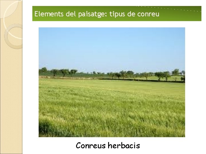 Elements del paisatge: tipus de conreu Conreus herbacis 