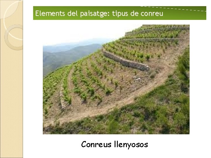 Elements del paisatge: tipus de conreu Conreus llenyosos 