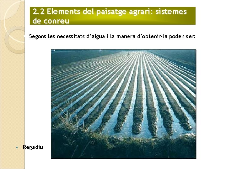 2. 2 Elements del paisatge agrari: sistemes de conreu § Segons les necessitats d’aigua