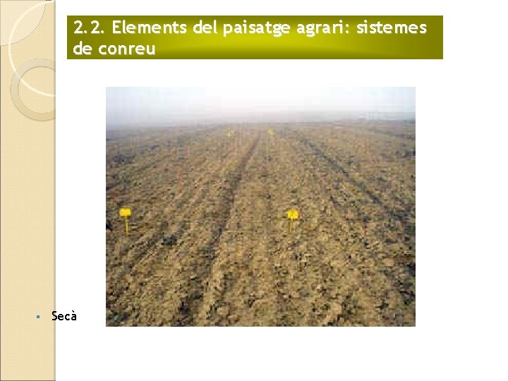 2. 2. Elements del paisatge agrari: sistemes de conreu § Secà 