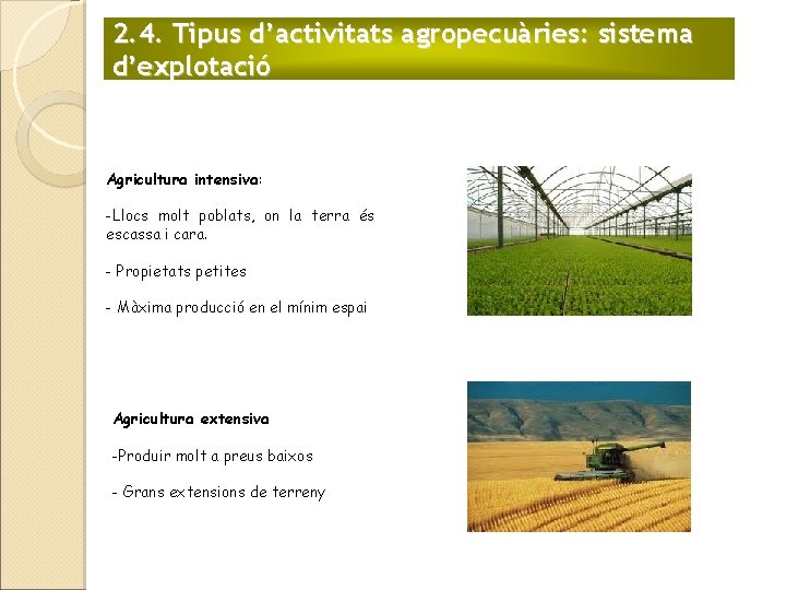 2. 4. Tipus d’activitats agropecuàries: sistema d’explotació Agricultura intensiva: -Llocs molt poblats, on la