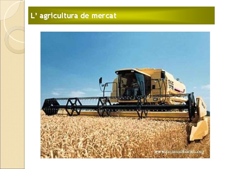 L’ agricultura de mercat 