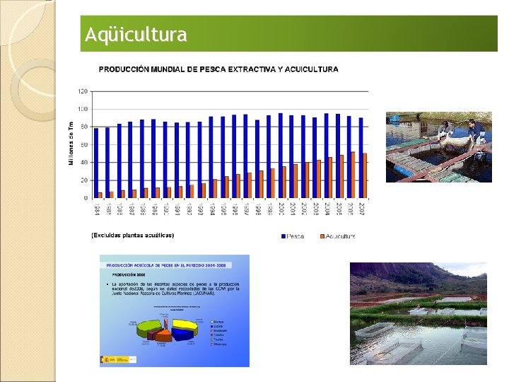 Aqüicultura 