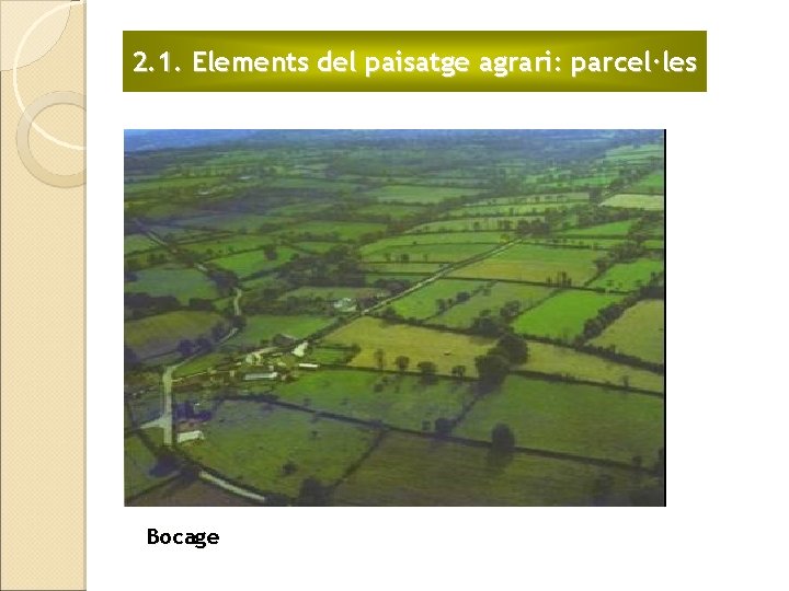 2. 1. Elements del paisatge agrari: parcel·les Bocage 