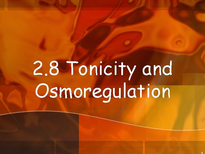 2. 8 Tonicity and Osmoregulation 1 