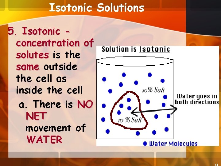 Isotonic Solutions 5. Isotonic concentration of solutes is the same outside the cell as