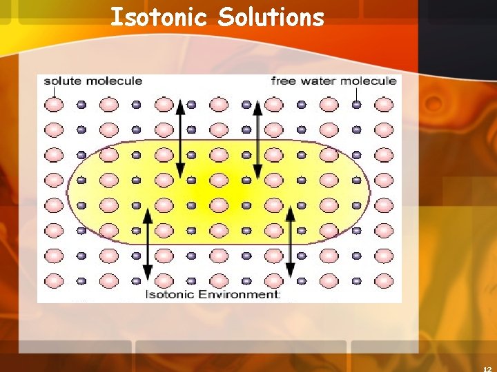 Isotonic Solutions 