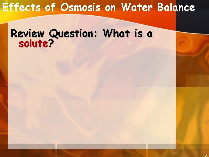 Effects of Osmosis on Water Balance Review Question: What is a solute? 