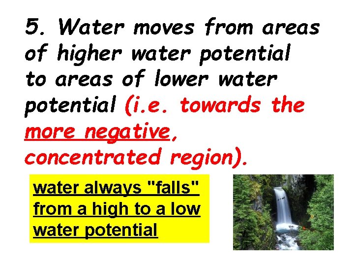 5. Water moves from areas of higher water potential to areas of lower water