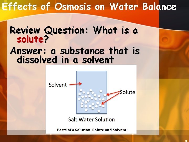 Effects of Osmosis on Water Balance Review Question: What is a solute? Answer: a