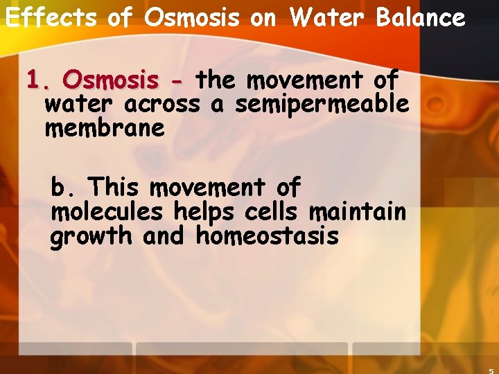 Effects of Osmosis on Water Balance 1. Osmosis - the movement of water across