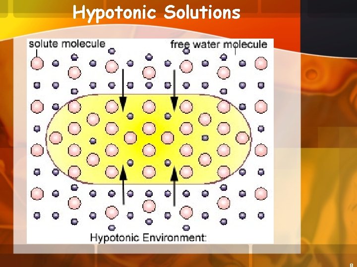 Hypotonic Solutions 