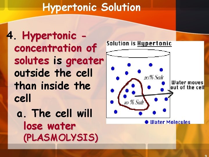 Hypertonic Solution 4. Hypertonic concentration of solutes is greater outside the cell than inside