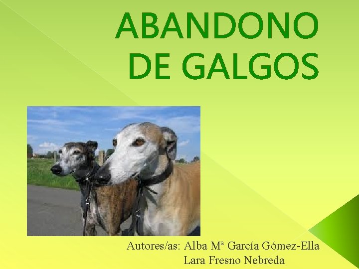 ABANDONO DE GALGOS Autores/as: Alba Mª García Gómez-Ella Lara Fresno Nebreda 