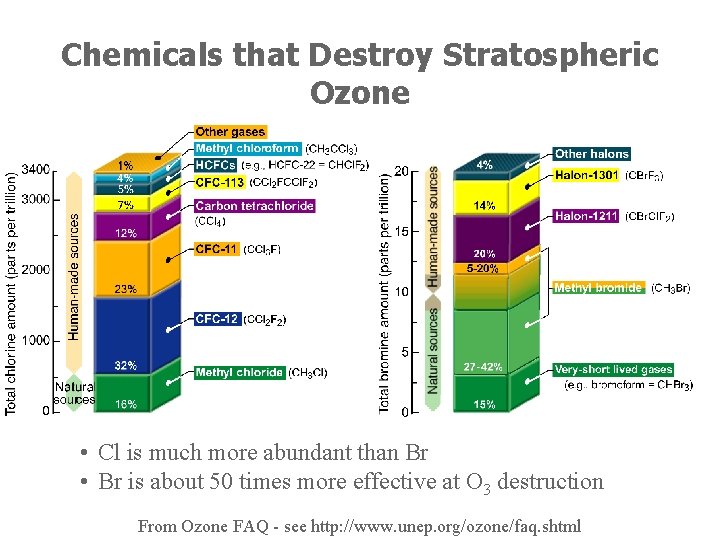 Chemicals that Destroy Stratospheric Ozone • Cl is much more abundant than Br •