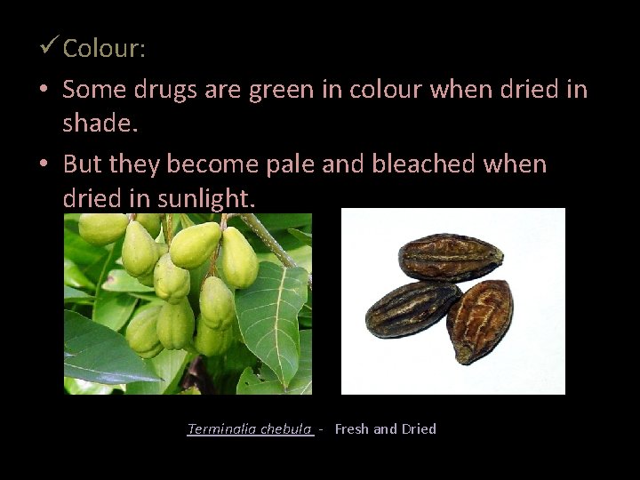  Colour: • Some drugs are green in colour when dried in shade. •