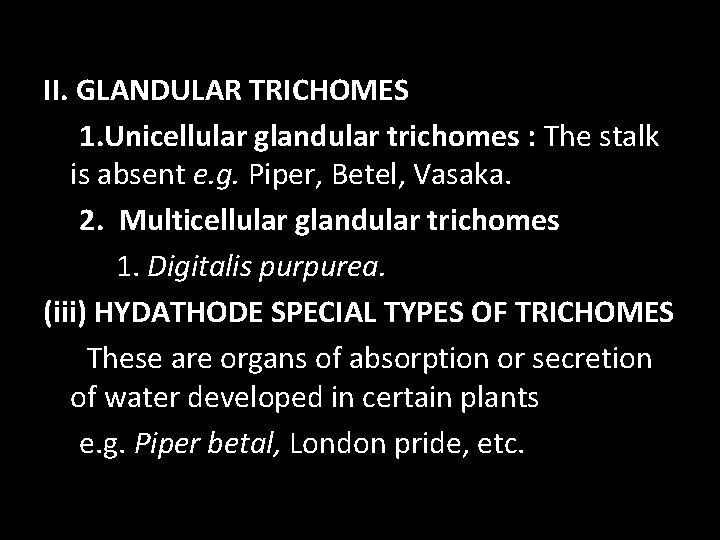 II. GLANDULAR TRICHOMES 1. Unicellular glandular trichomes : The stalk is absent e. g.