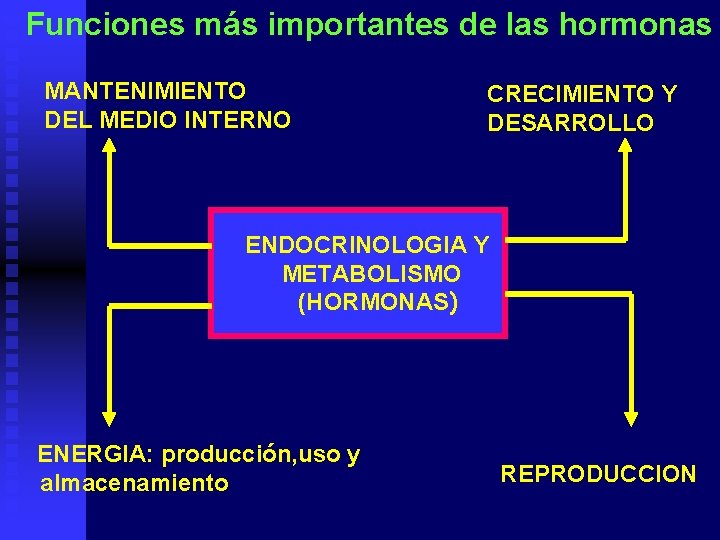 Funciones más importantes de las hormonas MANTENIMIENTO DEL MEDIO INTERNO CRECIMIENTO Y DESARROLLO ENDOCRINOLOGIA