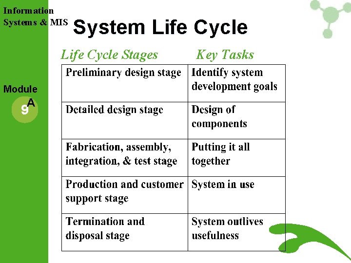 Information Systems & MIS System Life Cycle Stages Module A 9 Key Tasks Information Systems & MIS System Life Cycle Stages Module A 9 Key Tasks
