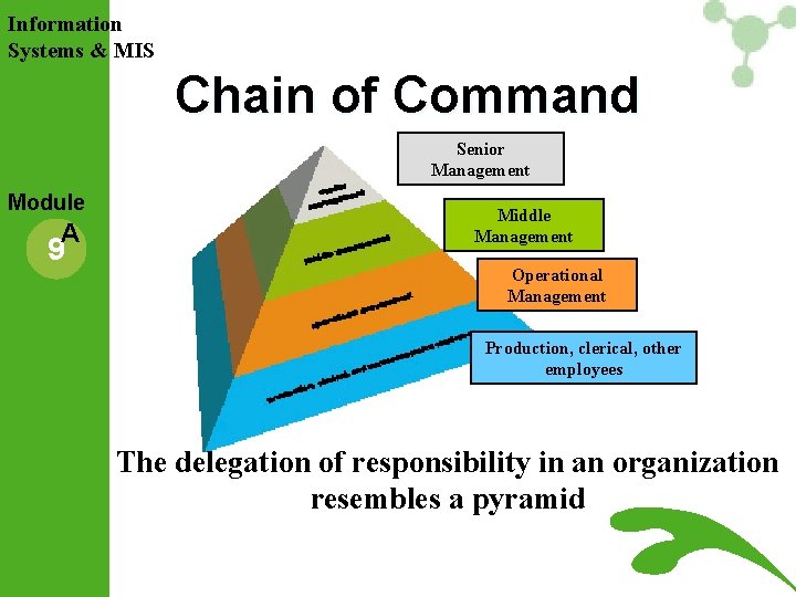 Information Systems & MIS Chain of Command Senior Management Module A 9 Middle Management Information Systems & MIS Chain of Command Senior Management Module A 9 Middle Management