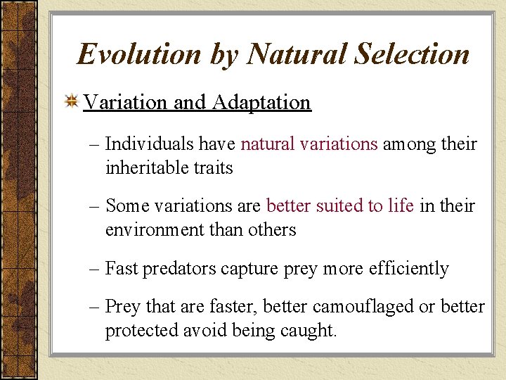 Evolution by Natural Selection Variation and Adaptation – Individuals have natural variations among their