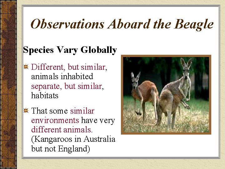 Observations Aboard the Beagle Species Vary Globally Different, but similar, animals inhabited separate, but